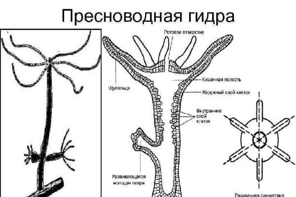 Где можно купить героин