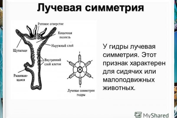 Кракен площадка нарко